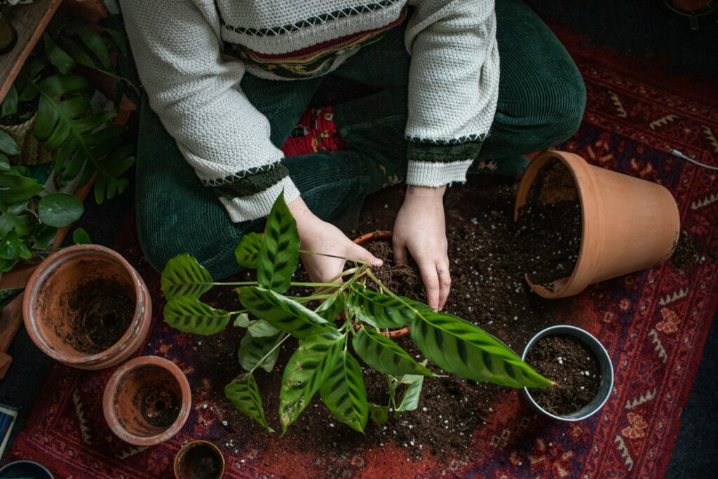 natuurlijke supplementen